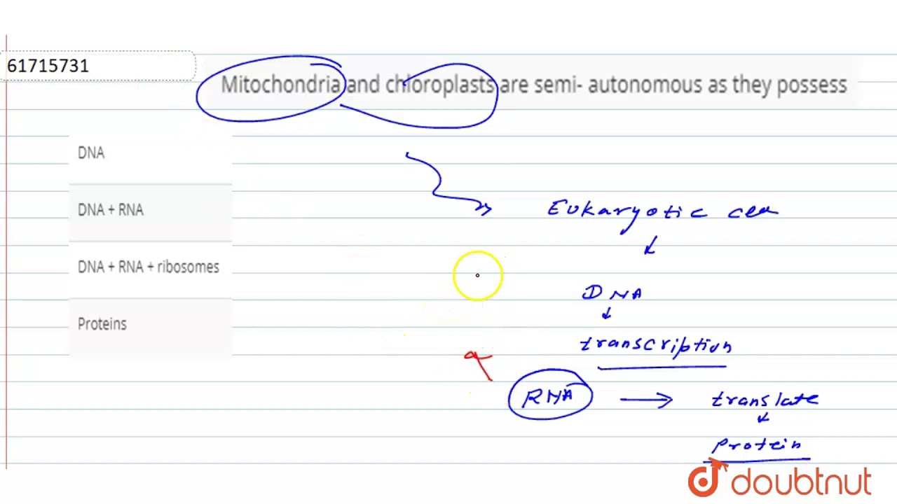 Mitochondria and chloroplasts are semi- autonomous as they possess