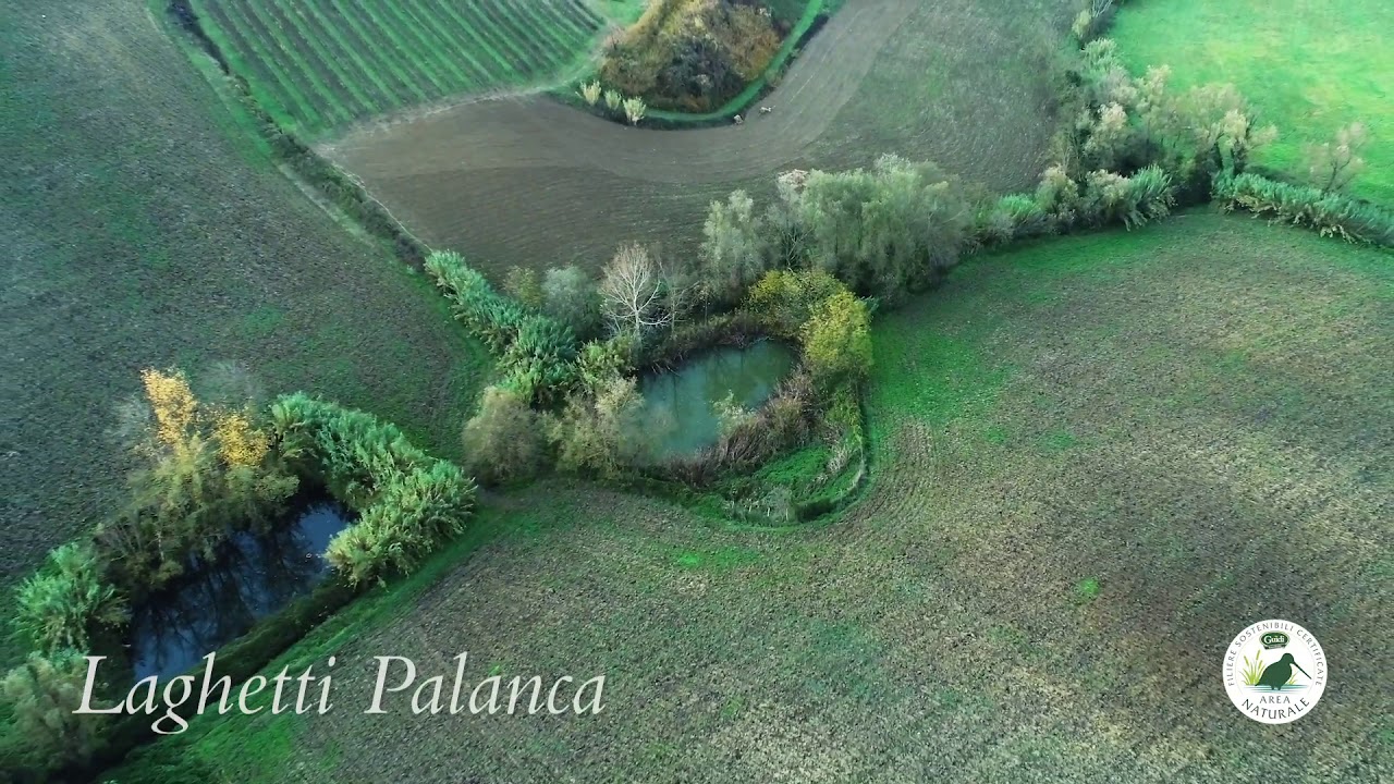 Il nostro mondo sostenibile | Friend of the Earth