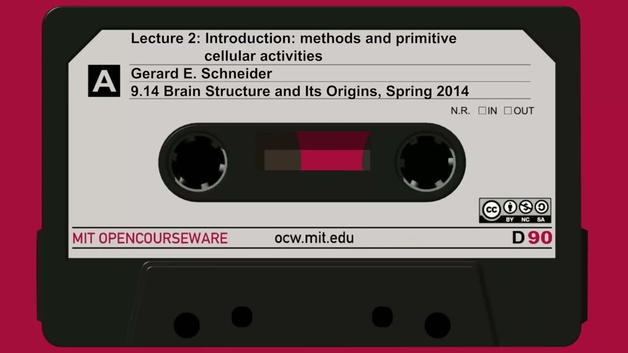 2. Introduction: methods and primitive cellular activities