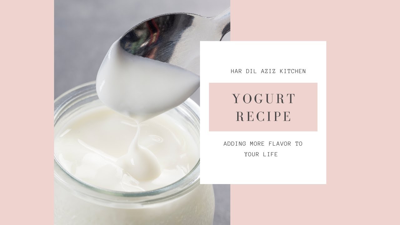 YOGURT RECIPE | HAR DIL AZIZ KITCHEN