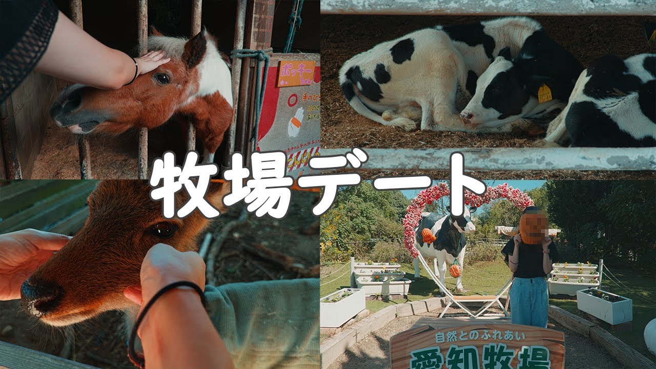 ママ念願の愛知牧場に行ってBBQと動物とのふれあいを堪能してきた
