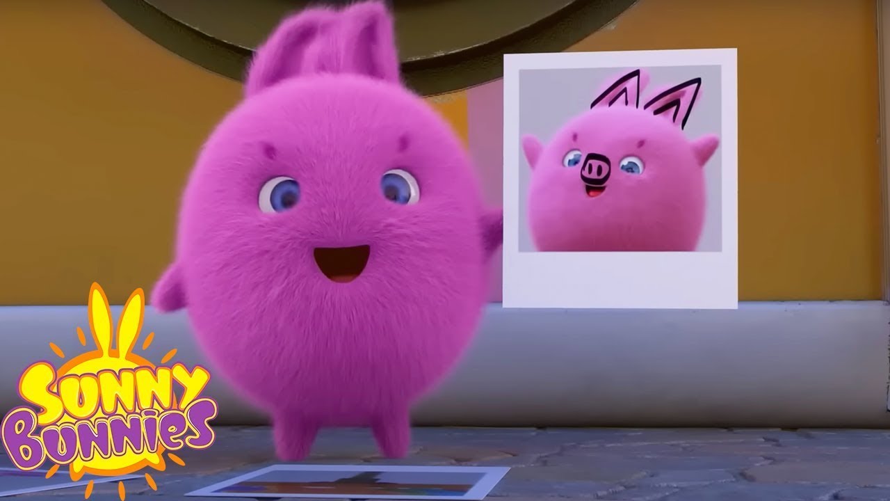 サニーバニーズ - 巨大写真カメラ |シーズン 5 コンピレーション |子供向け漫画