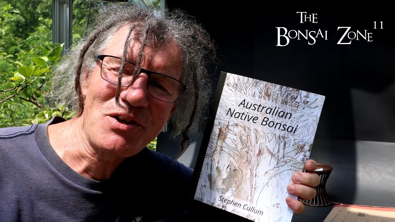 Pruning My Bog Forest and My Willow Leaf Ficus, The Bonsai Zone, July 2024