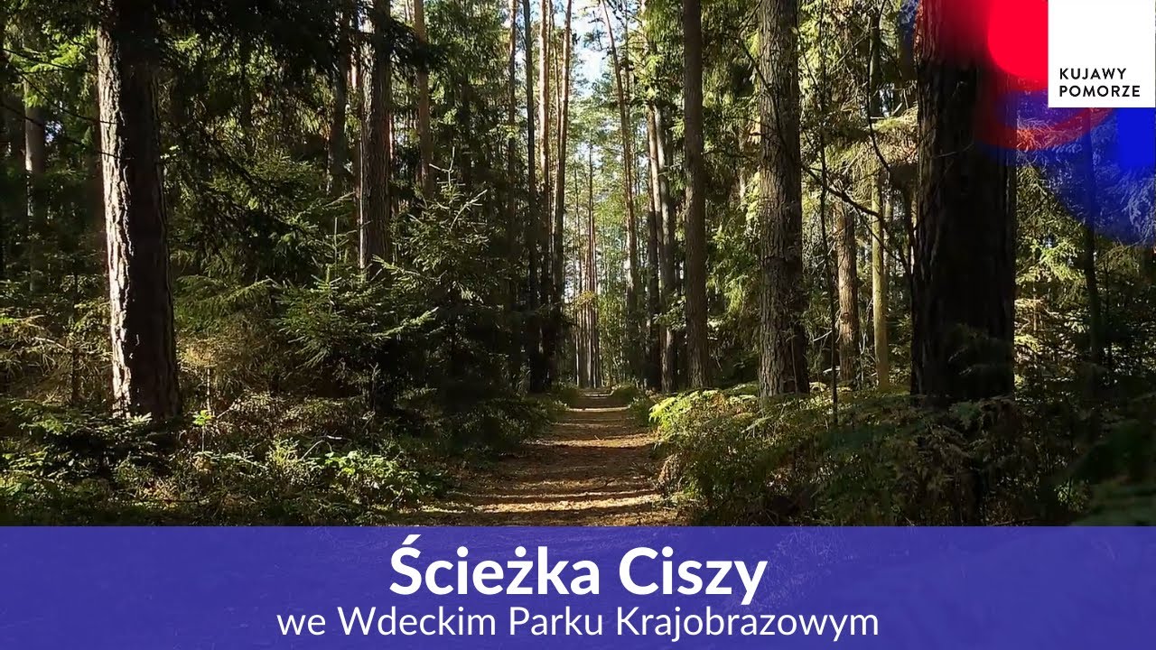Ścieżka ciszy we Wdeckim Parku Krajobrazowym