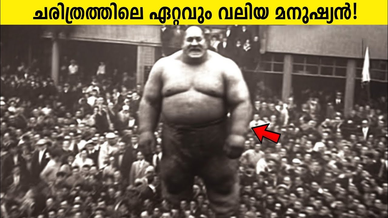 ഇവരൊക്കെ മനുഷ്യർ തന്നെയാണോ?!😱 Top Real Life Human Giants In Malayalam | Storify