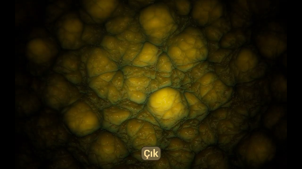 Lokfs fyury edf aear