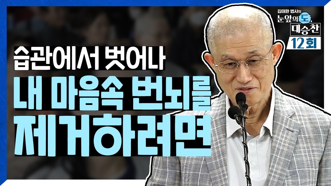 생각하는 습관에서 벗어나 내 마음속 번뇌를 제거하려면 | 김태완 법사의 눈앞의 도, 대승찬 12화