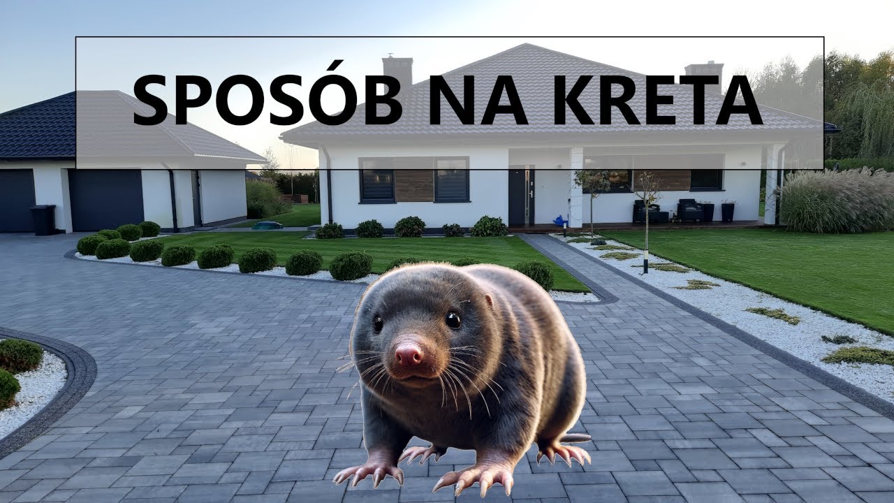 SPOSÓB NA KRETA (trawnik, kret, siatka na kreta, koszenie)