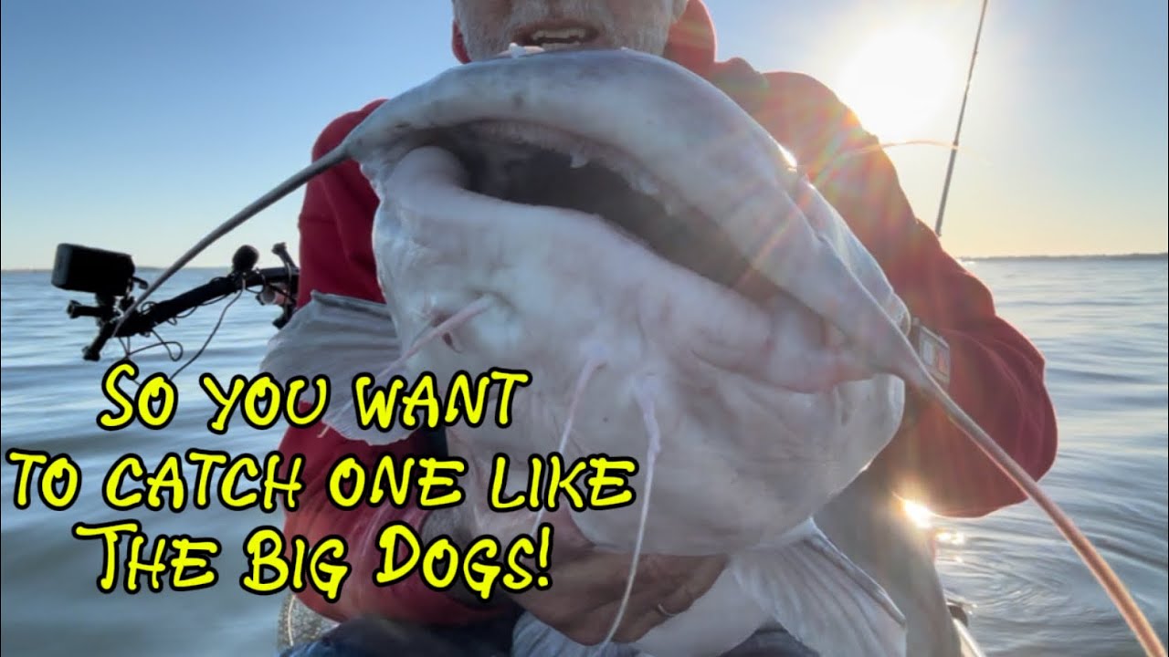 So you want to catch one like the big dogs do!