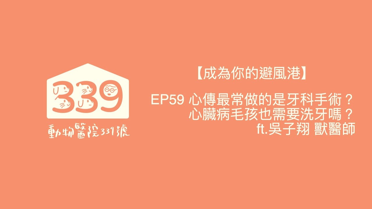 【成為你的避風港】EP59 心傳最常做的竟然是牙科手術？心臟病毛孩也需要洗牙嗎？ ft 吳子翔 獸醫師