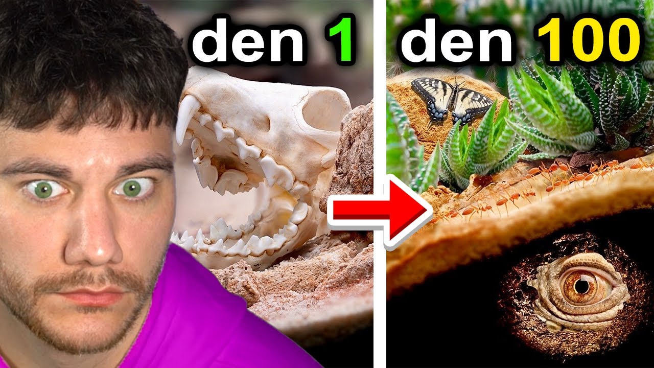SIMULACE AFRIKY PO DOBU 100 DNÍ
