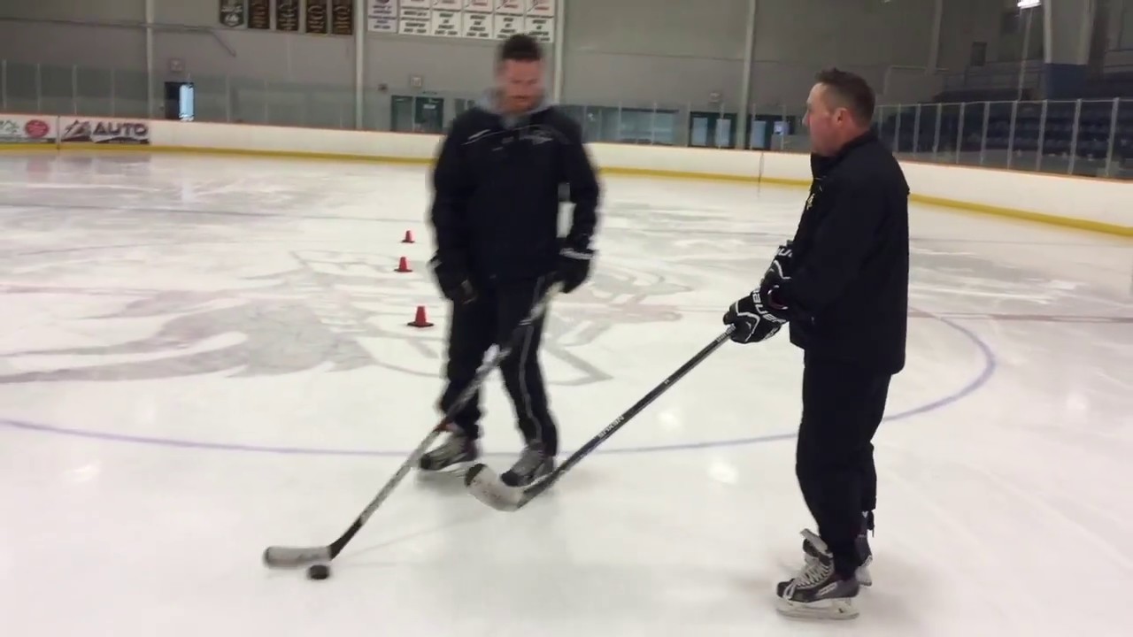 Puckface Hockey Training: Stickhandling Evolution E17