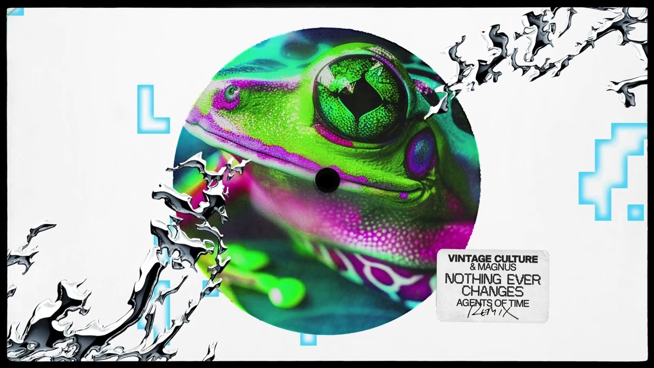 Vintage Culture, MAGNUS - Nothing Ever Changes (Agents Of Time Remix)