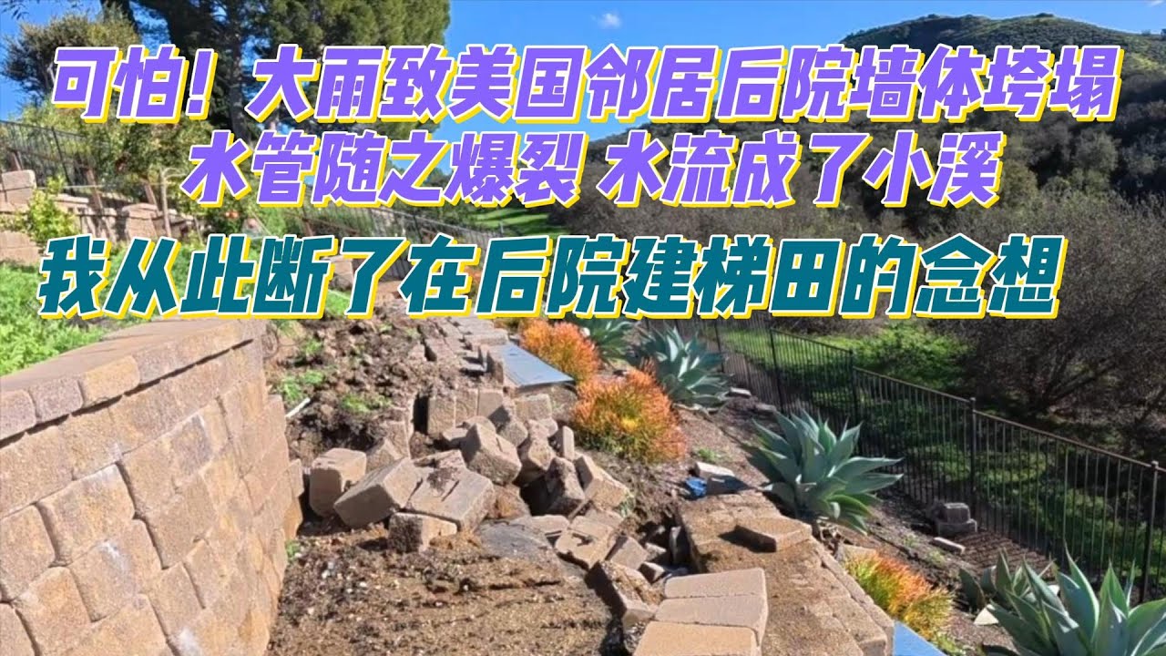 大雨导致美国邻居后院墙体坍塌，水管破裂，水流成了小溪。邻居在外度假，我们赶紧联系他们关水。我也从此断了在后山坡建梯田的念想。一年到头老牛难得放假2周，今天一起逛公园，吃寿司，享受难得的休闲时光。