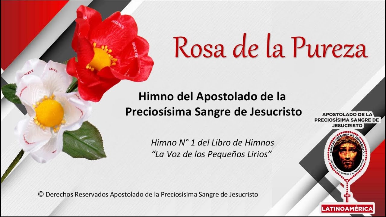Himno Oficial Rosa de la Pureza, en español.