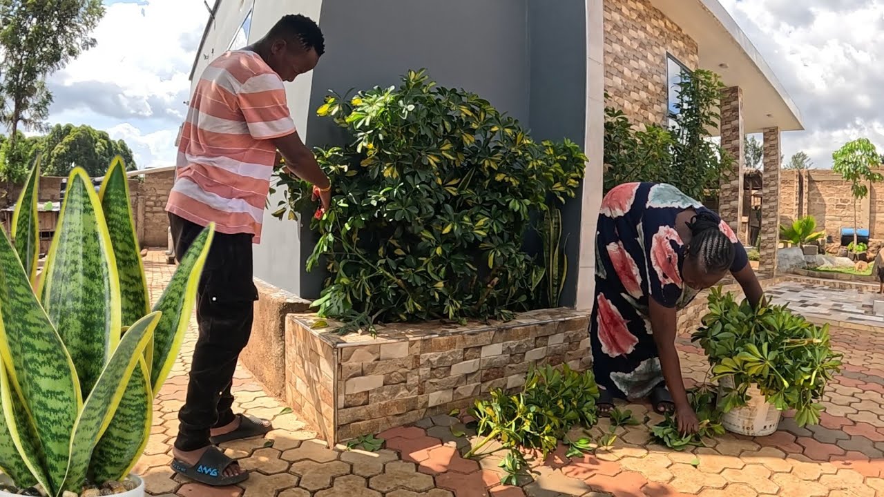 Typical African village Activities |Keeping Snakes 🐍 Away From Our Home+Planting &Weeding 
