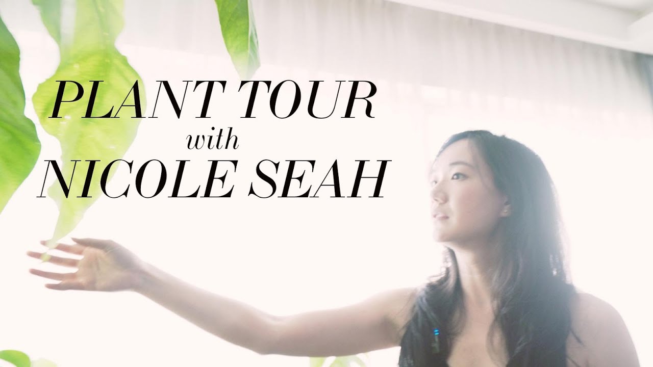 Plant Tour with Nicole Seah | Singapore HDB Apartment Plant Tour