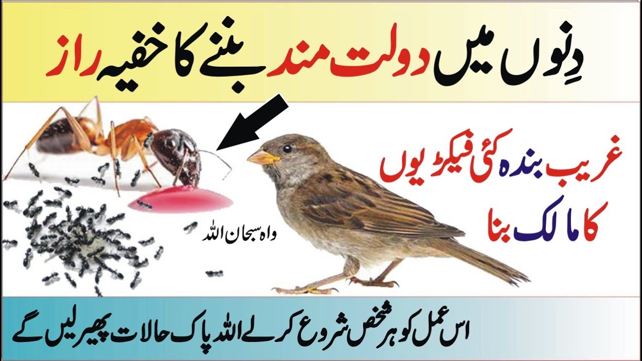 Maldar Ameer Banny Ka Raz●Rizq Job Marriage Dolat●Wazifa for Wealth Rich man● अमीर बनने का राज ● Dua