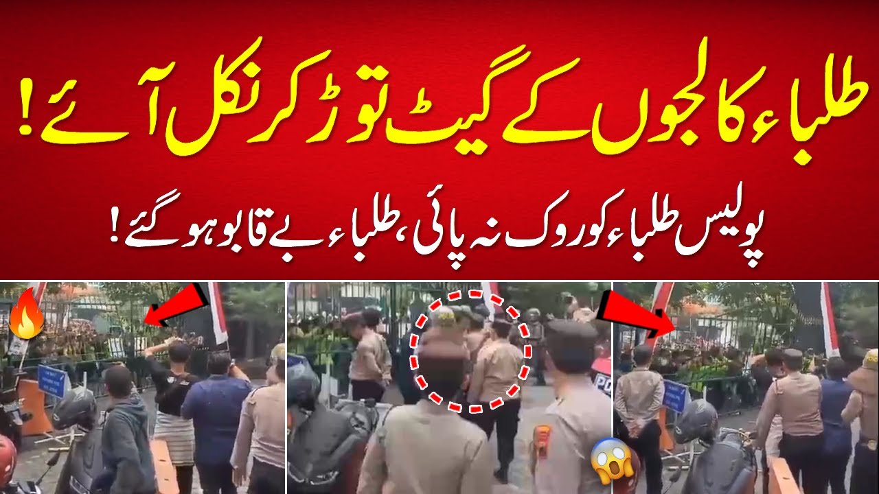 Pti Student|Pti Student Movement Video|ISF Student Power|Pti Student Movement|Imran Khan Student