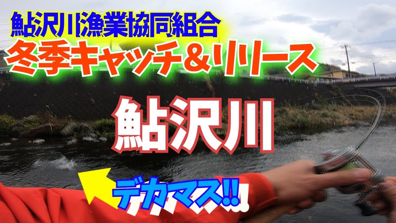 まだまだ楽しめる!!静岡県鮎沢川の冬季釣行2022〜2023