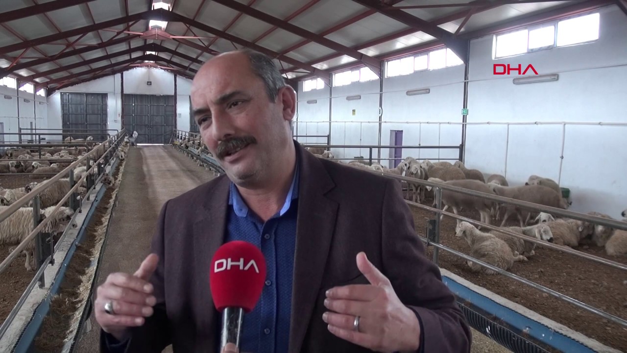 Karadeniz'in ilk damızlık koç ve teke üretim merkezi Tokat'ta açıldı