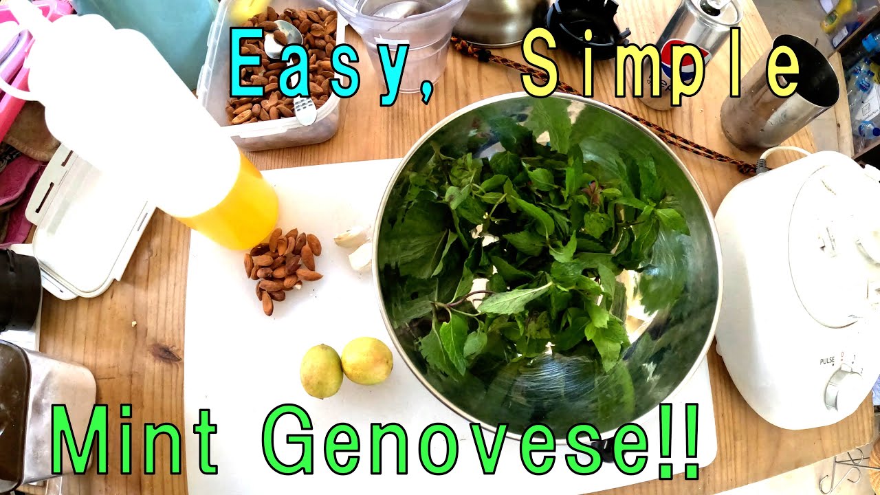 Fresh Mint, Nuts and Appricot oil. Lets make Mint Genovese source.