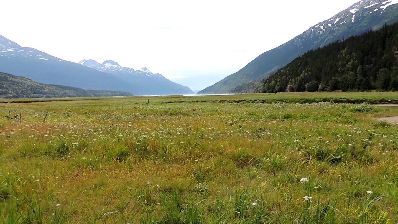 Die Dyeaflats (2012) nahe Skagway in Alaska. Hier schlug schon Jack London sein Zelt auf.