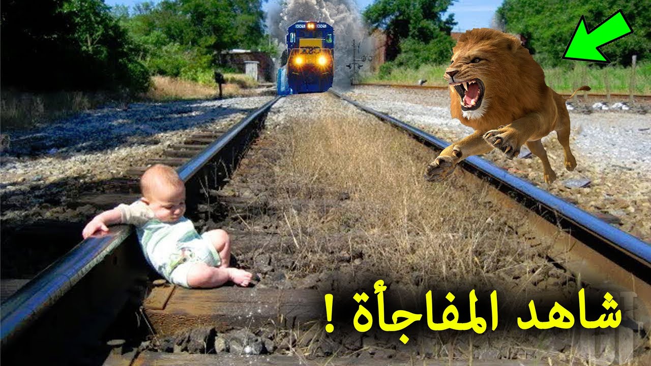 30 حيوان انقذوا البشر في اللحظات الاخيرة | ردة فعل الحيوانات لا تصدق.. سبحان الله !!