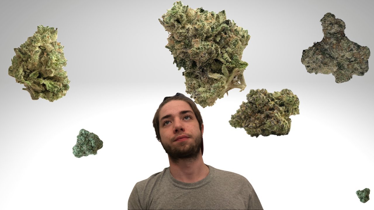 MOCHI! QUICK STRAIN REVIEW! CREATIVE HYBRID! SUNSET SHERBERT X THIN MINT GIRL SCOUT COOKIES !