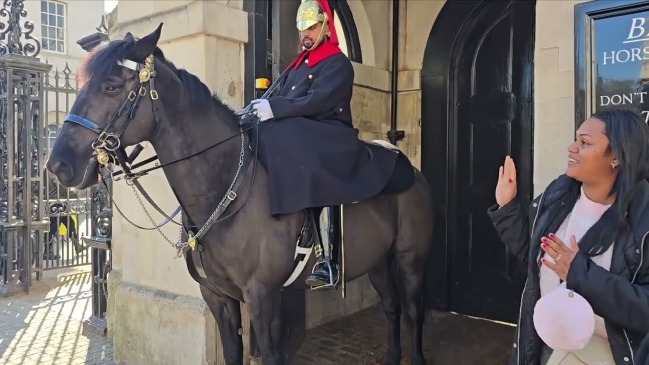 Guard refused money/four tourists gave money/boy to she to give money to the guard #kingsguard