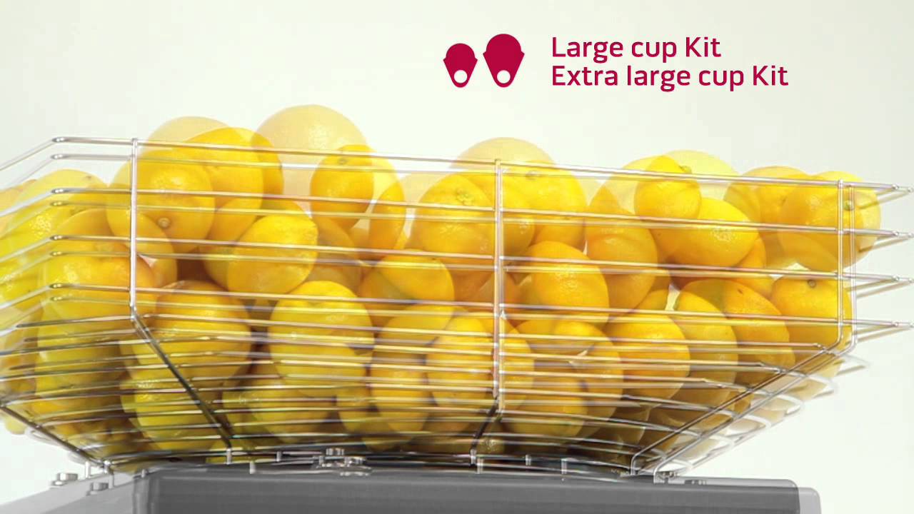 Zummo commercial citrus juicer Z40C