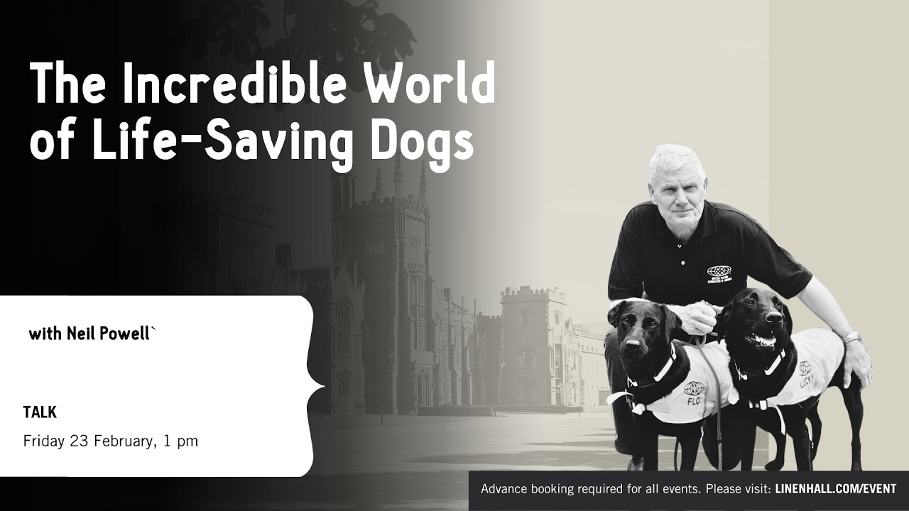 The Incredible World of Life Saving Dogs