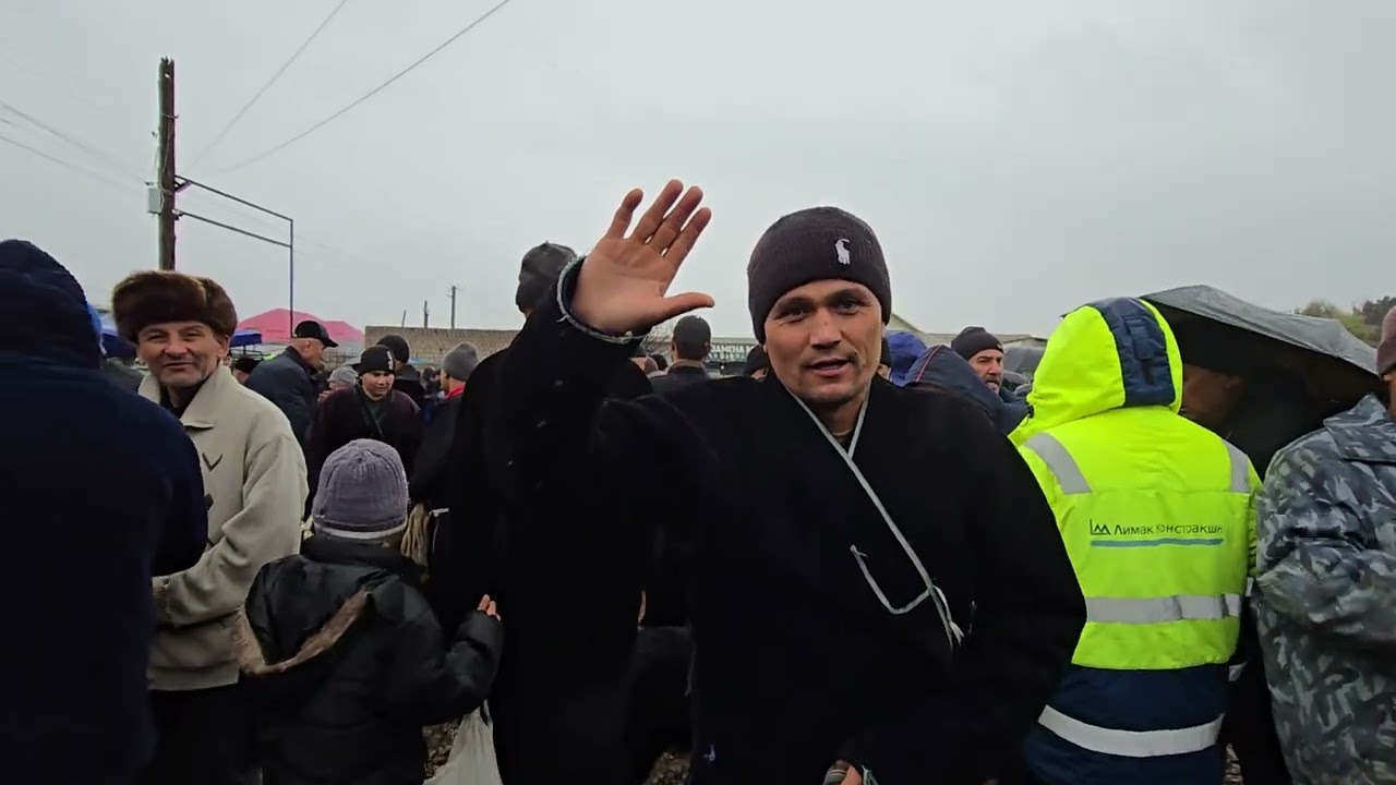 Qŏzilarni oladigonlar kŏp Uzun Tumani yakshanba Mol bozoridan 15.03.2026