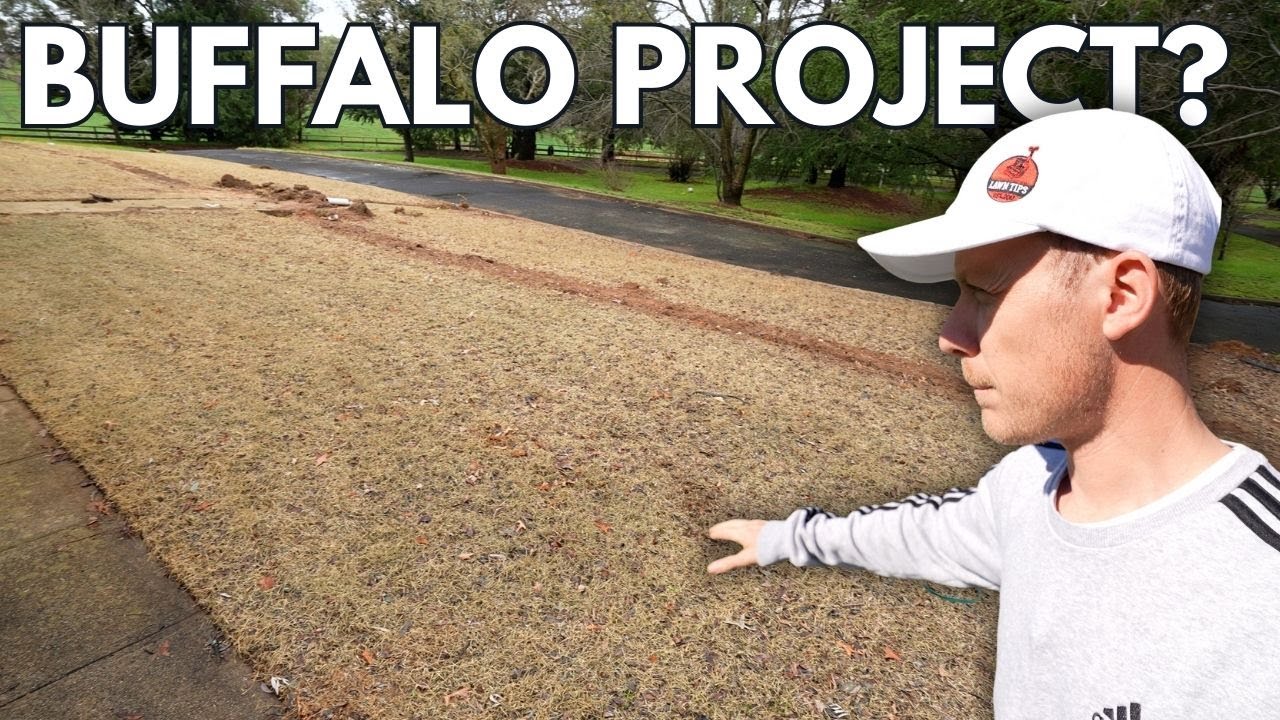 All the Lawn Projects We&rsquo;re Tackling This Season