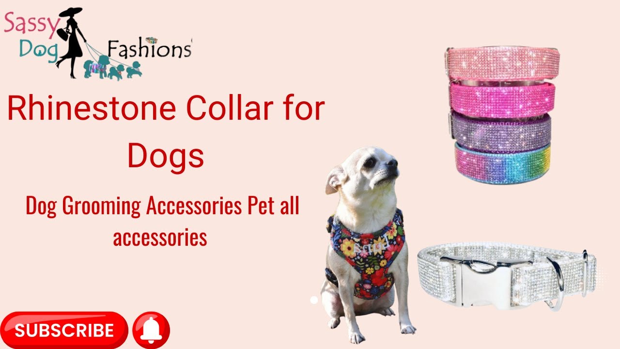 How to a Rhinestone Collar for Dogs | Dog Grooming Accessories Pet  all accessories