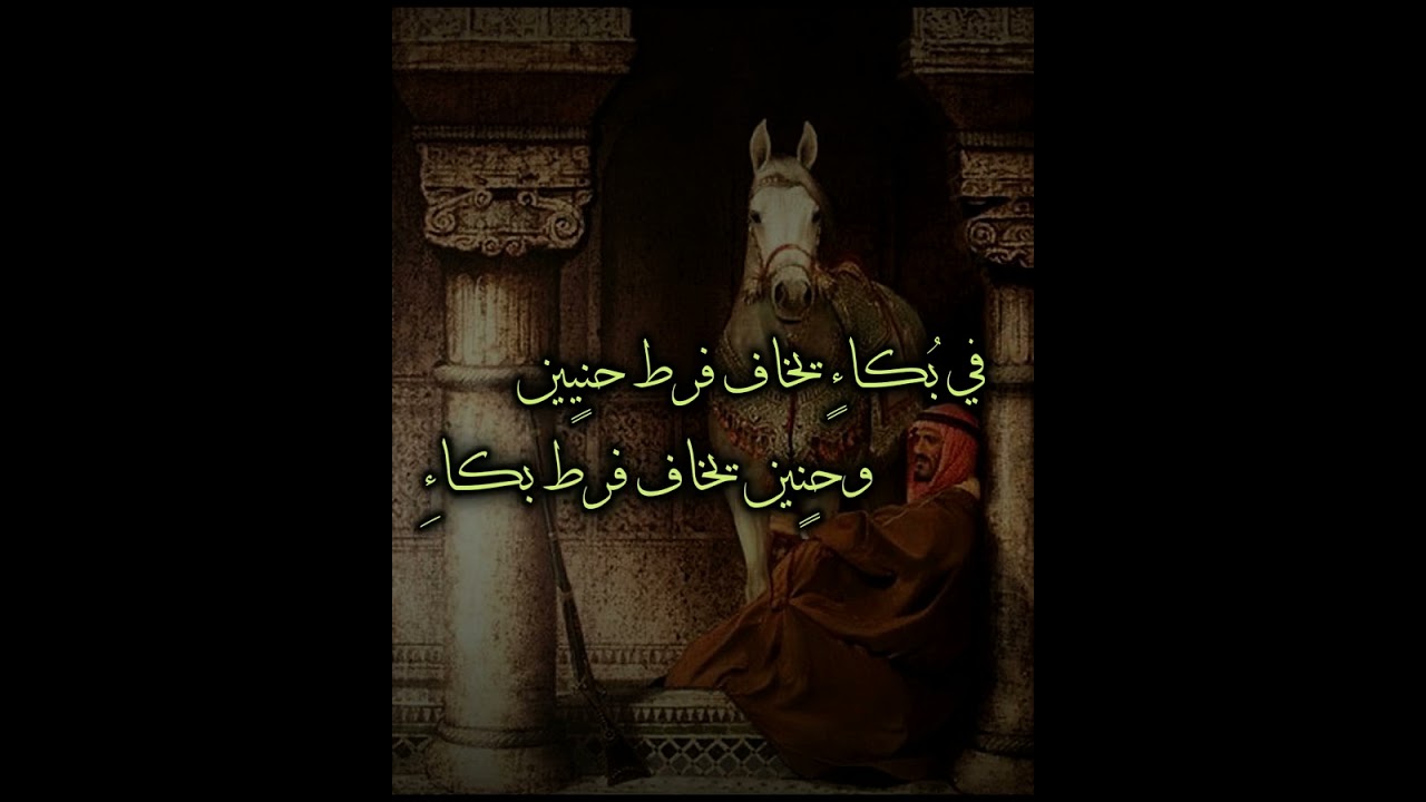 سبب الحب / هشام مخدوم