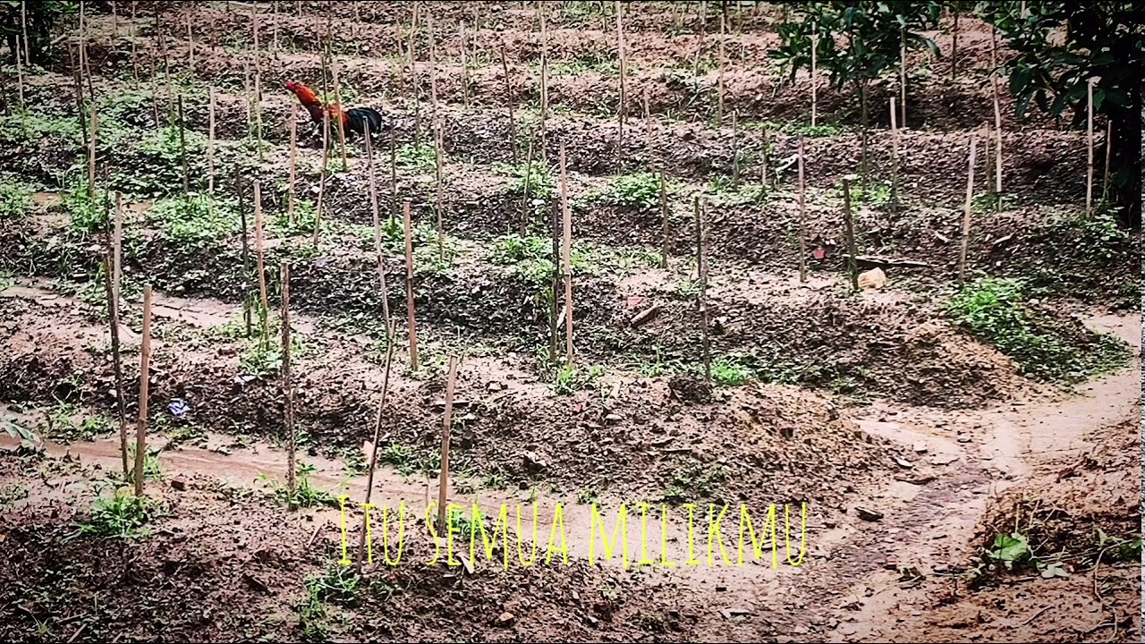 Iksan Skuter - Semua Itu Milikmu (Official Music Video)
