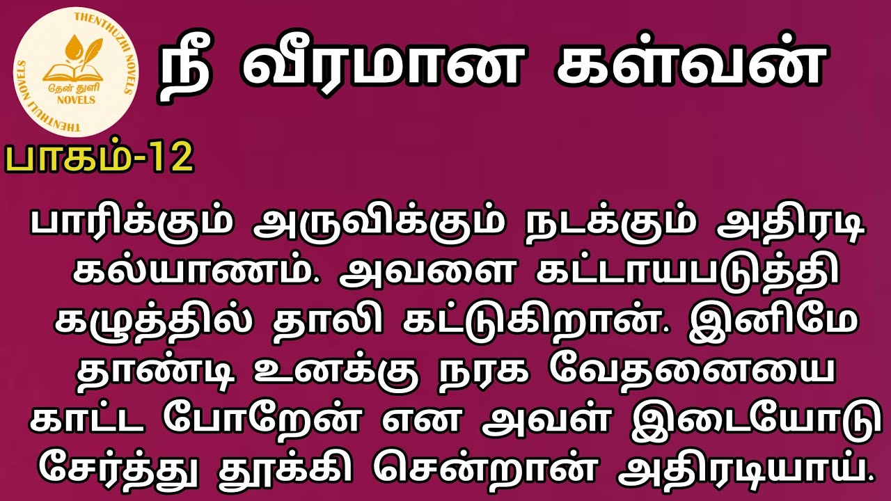 நீ வீரமான கள்வன்! | nee veeramaana kalvan! |தேன்துளி நாவல்ஸ் | பாகம்-12| தேன்மொழி | Rj மோனிகா
