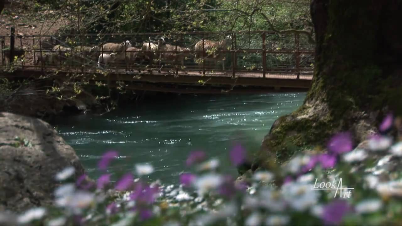 Κάνε άλμα πιο γρήγορο από τη φθορά