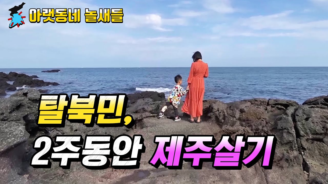 [ENGLISH SUB] 탈북민, 2주 동안 제주살기ㅣ아랫동네 놀새들 North Korean Defector Visits Beautiful Jeju Island