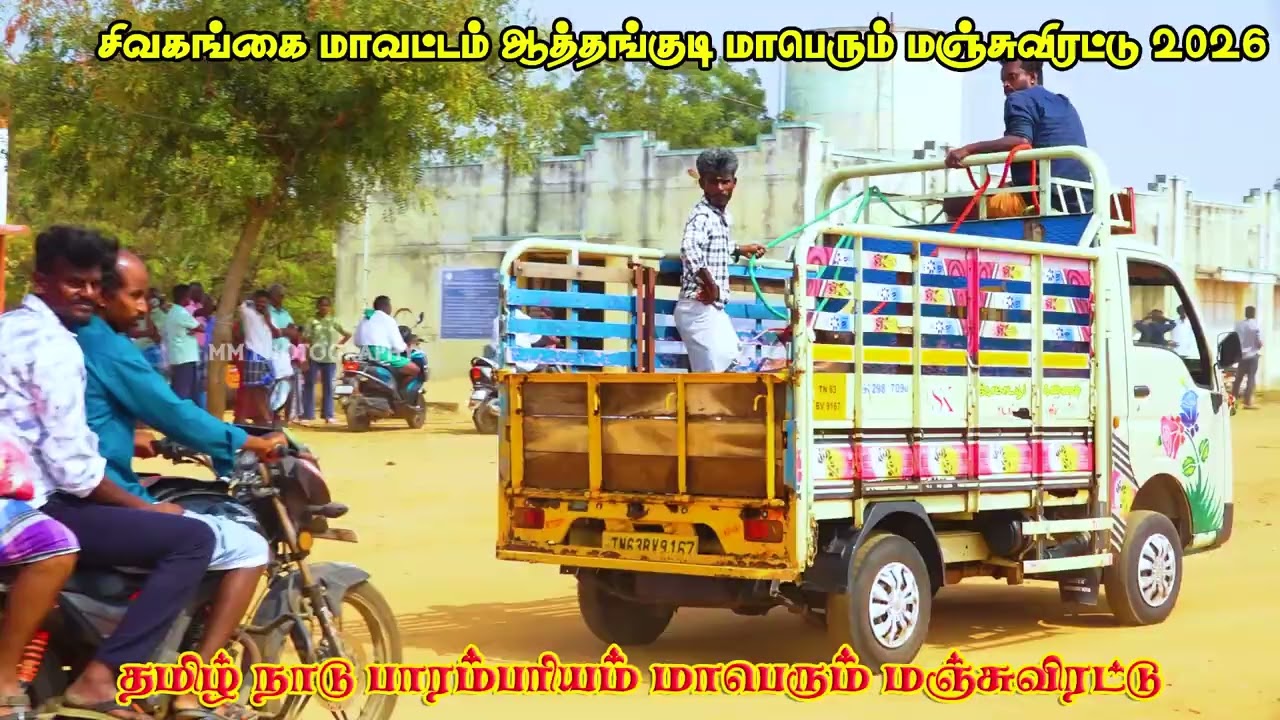 சிவகங்கை மாவட்டம் ஆத்தங்குடி மாபெரும் மஞ்சுவிரட்டு 2026💥🔥🔥🔥🔥🔥🔥🔥VIDEO பகுதி 1