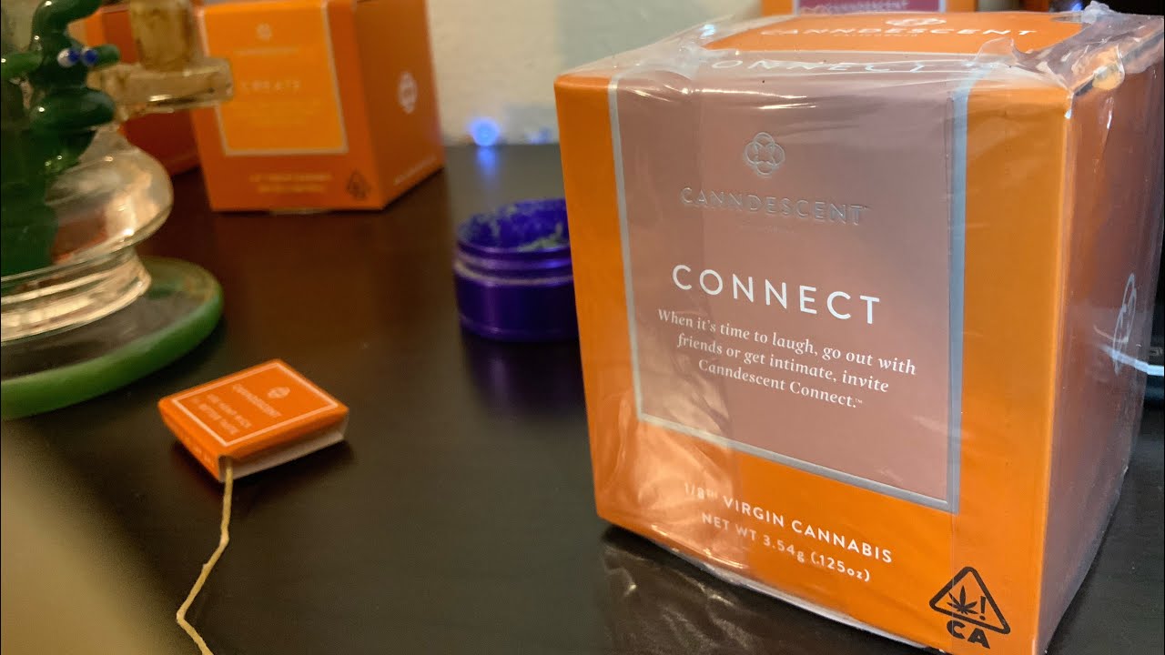 Canndescent: Connect 415