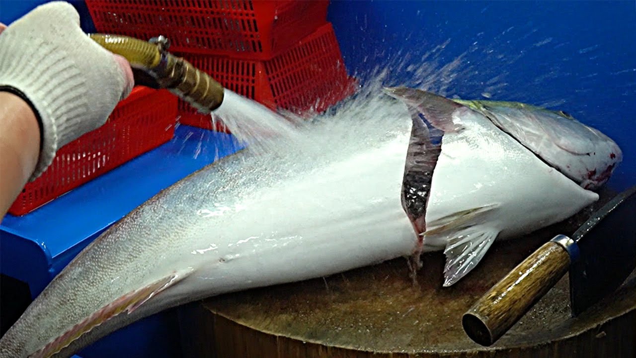 Korean Seafood - Live Big YellowTail Amberjack Fish cutting skills sashimi