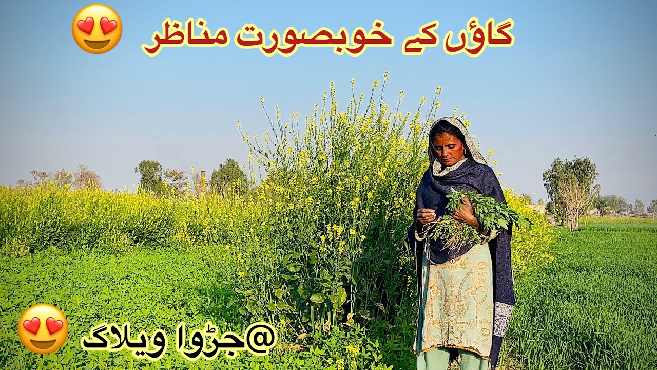 Village beautiful lifestyle/Gaon Mein Rehne Ka lifestyle😍😍