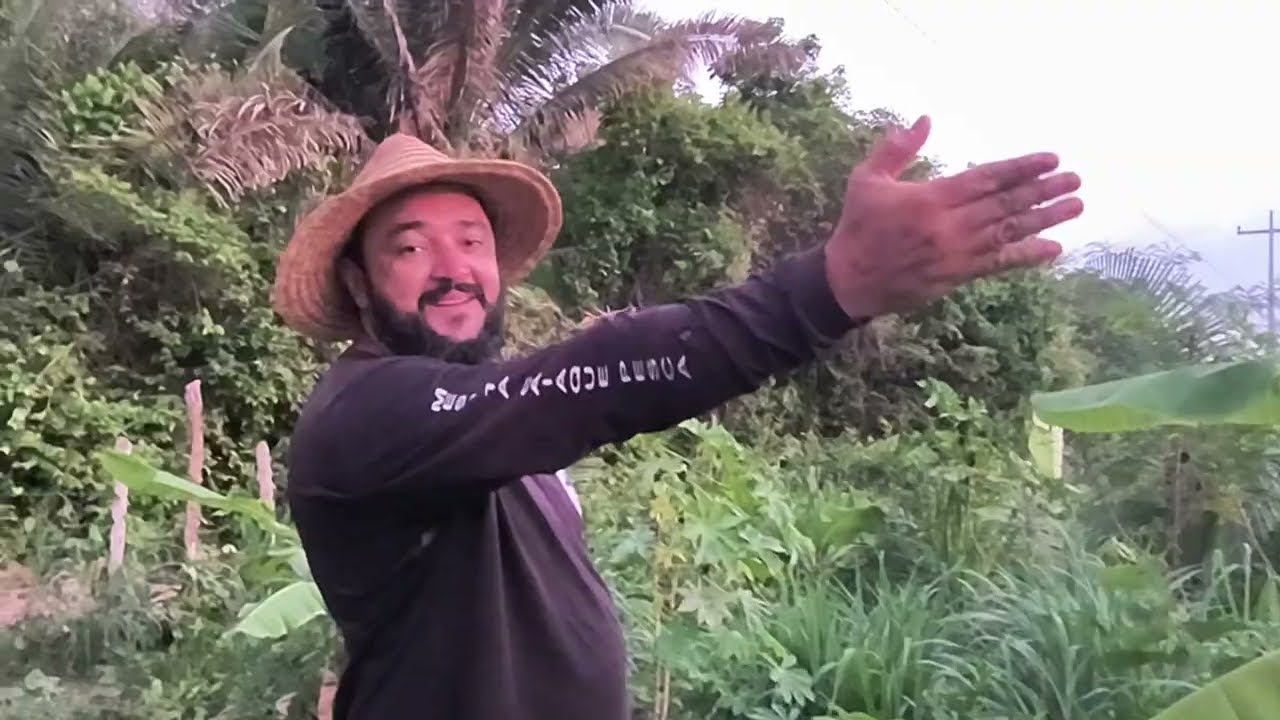 Como Está Nosso Sítio Hoje? Atualização e Trabalhos na Roça