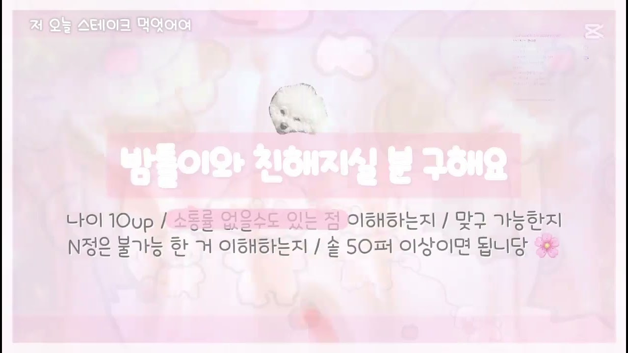 진짜 오랜만이다 그죠 | 밤톨이와 친해지실 분 구해요 | #ㅊㅊ #공감시리즈액괴 #대섁 #슬라임 #알고리즘 #알고리즘떠라제발 