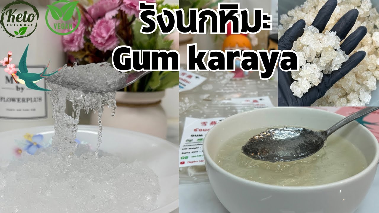 รังนกหิมะคีโต(Gum karaya)/pingdowstation