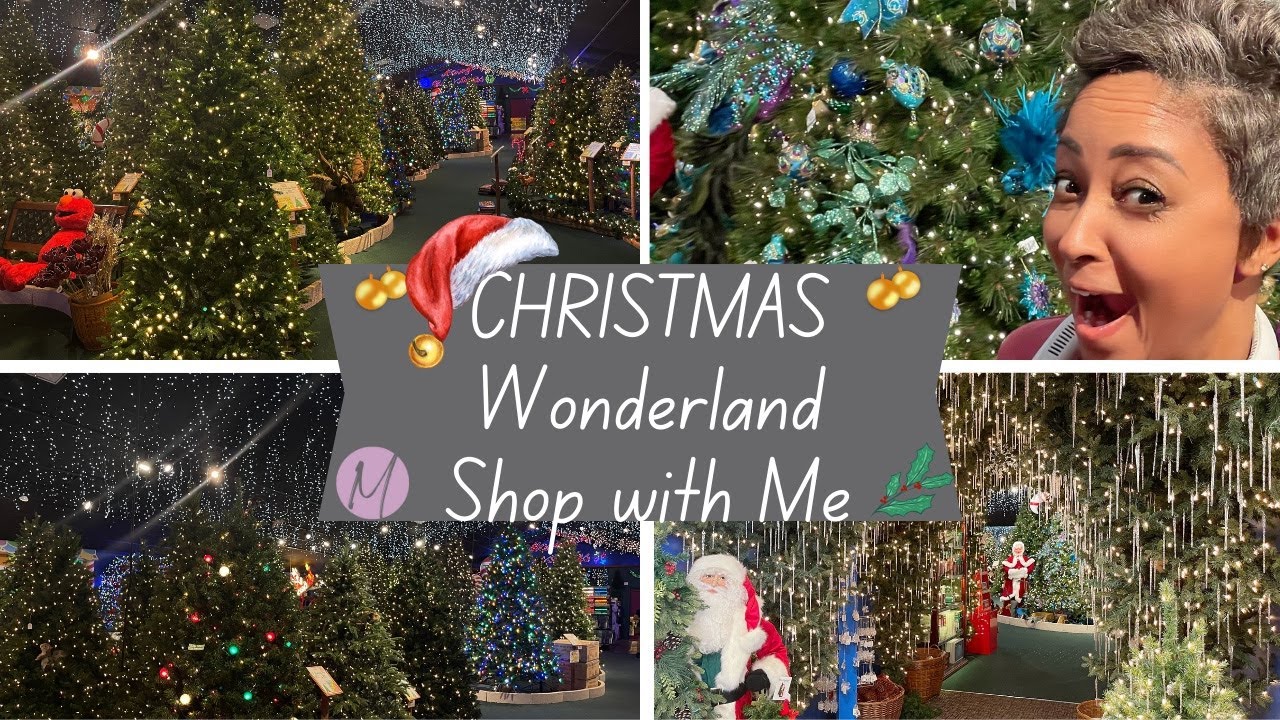 2023 Christmas Winter WONDERLAND Shop with Me | Lifestyle with Melonie Graves