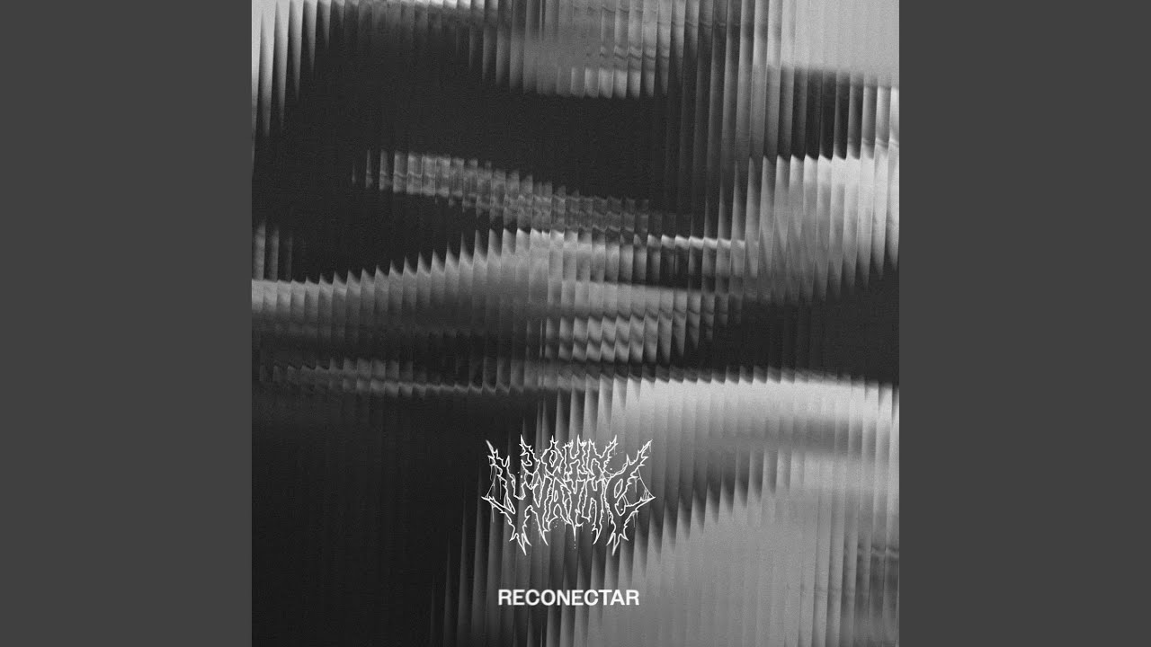 Reconectar