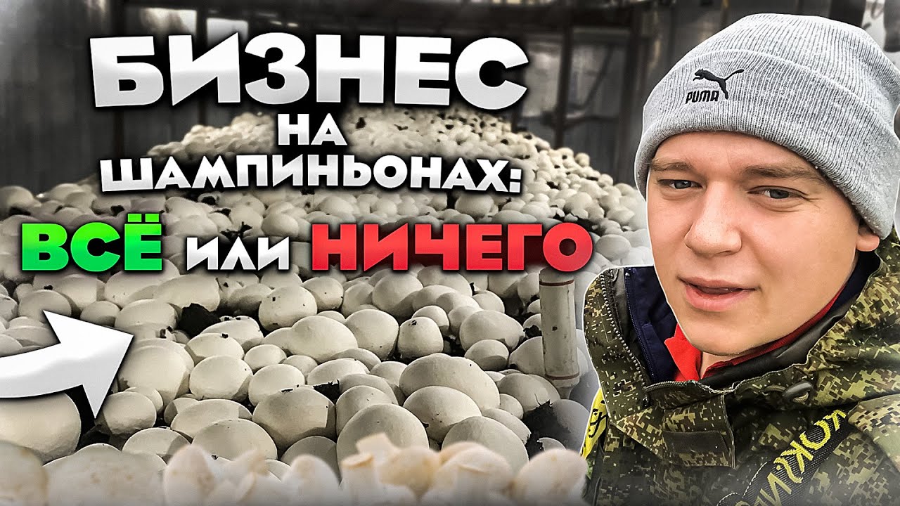 НЕ ВЫРАЩИВАЙ ШАМПИНЬОНЫ ПОКА НЕ ПОСМОТРИШЬ ЭТО ВИДЕО! Не получилось! Прогорел! Причина???